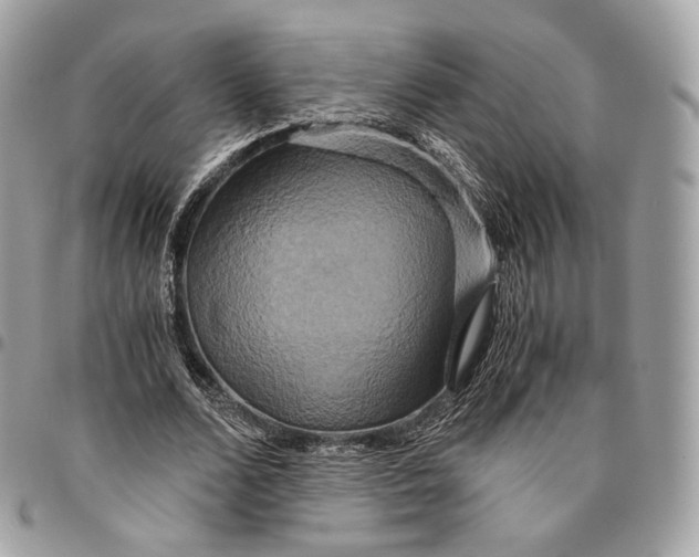 X0000096160680200802081434