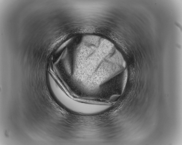 X0000096160681200802081434