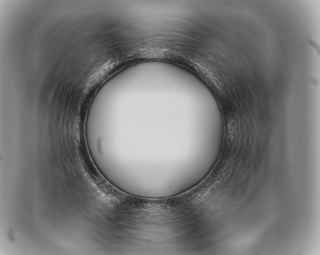 X0000096160682200802081434