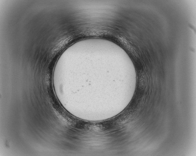 X0000096160683200802081434