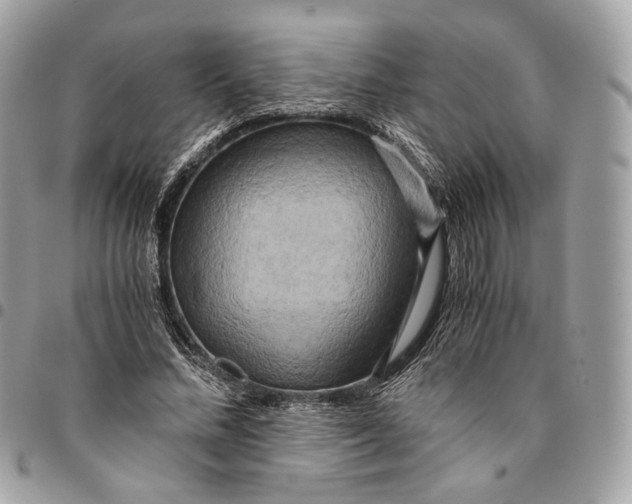 X0000096160684200802081434