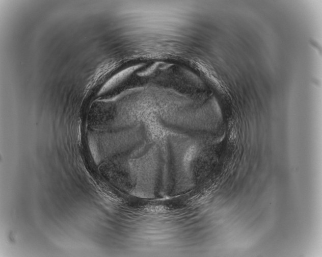 X0000096160685200802081434