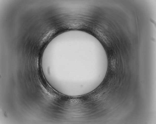 X0000096160686200802081434