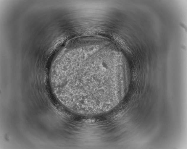 X0000096160687200802081434