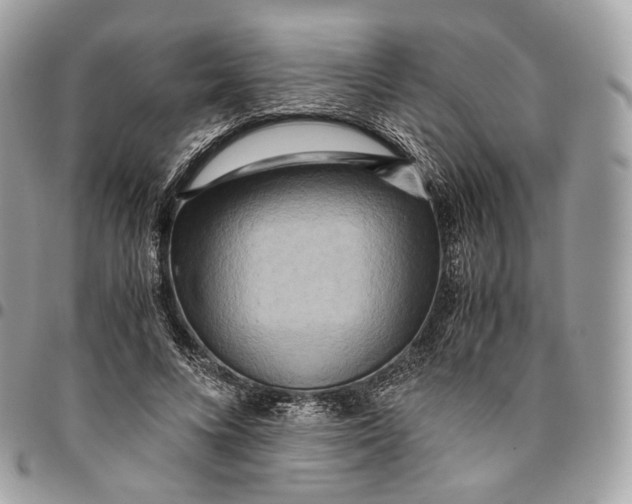 X0000096160688200802081434