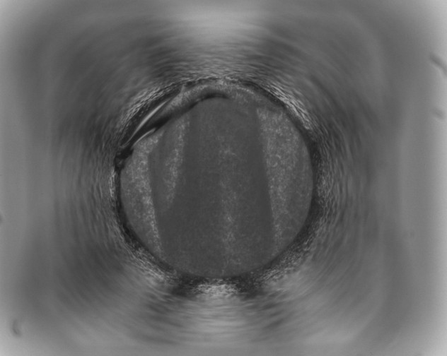 X0000096160689200802081434