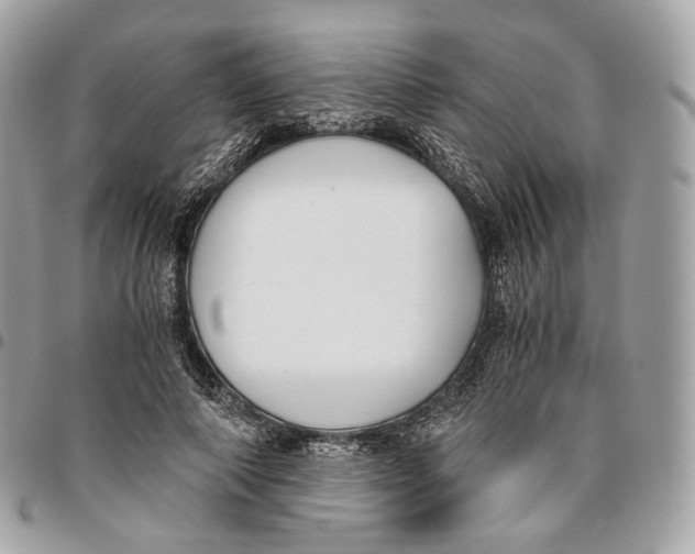 X0000096160690200802081434