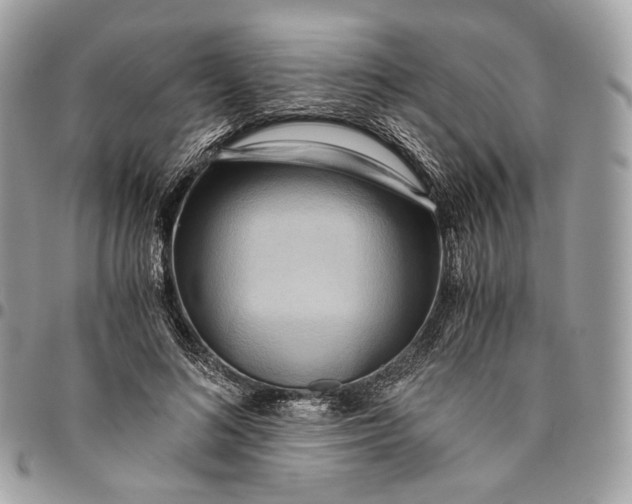 X0000096160692200802081434