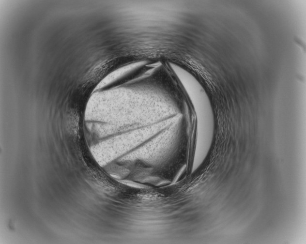 X0000096160693200802081434