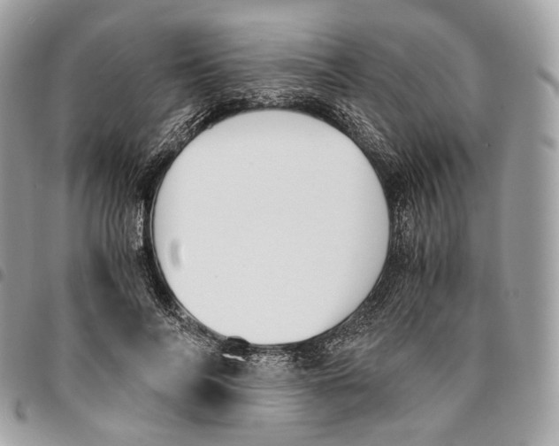 X0000096160694200802081434