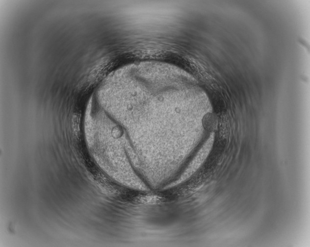 X0000096160695200802081434