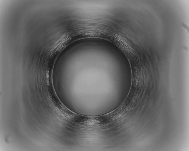 X0000096160696200802081434