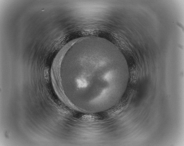 X0000096160699200802081434