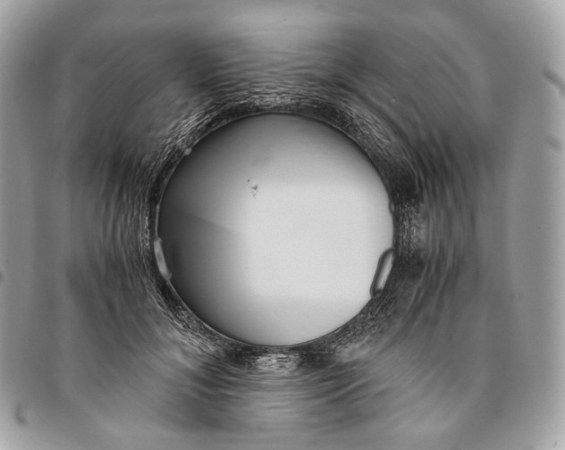 X0000096160700200802081434