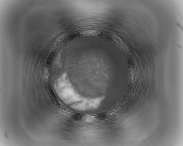 X0000096160701200802081434