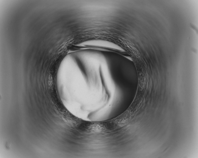 X0000096160704200802081434