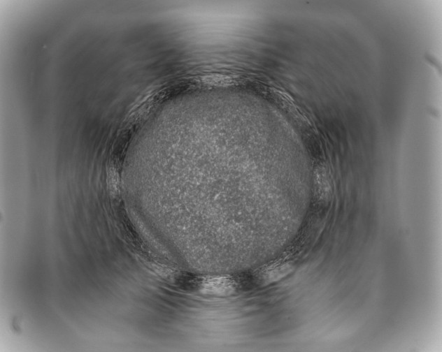 X0000096160705200802081434