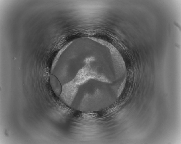 X0000096160707200802081434