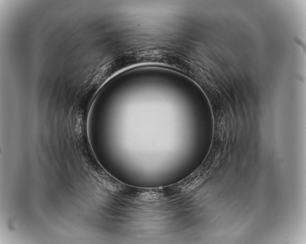 X0000096160708200802081434