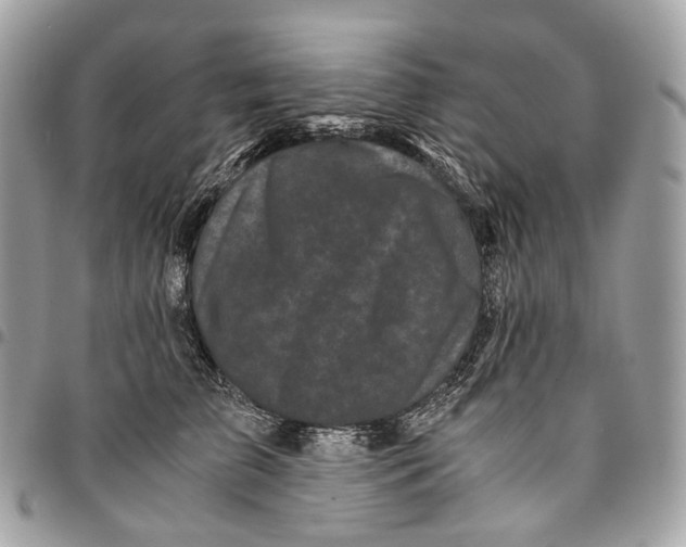 X0000096160709200802081434