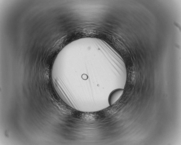 X0000096160710200802081434