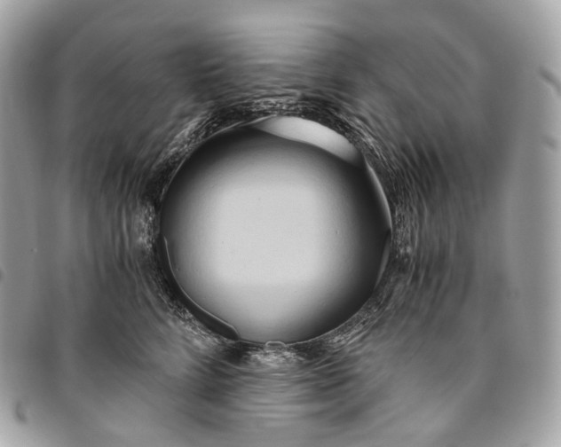 X0000096160712200802081434