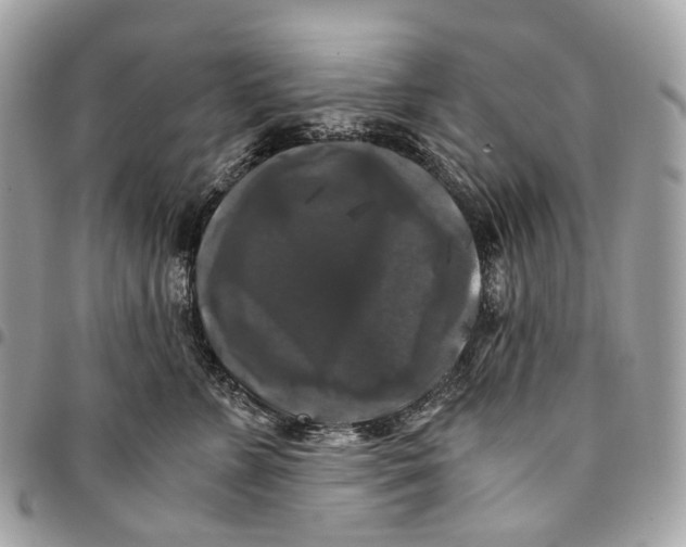 X0000096160715200802081434