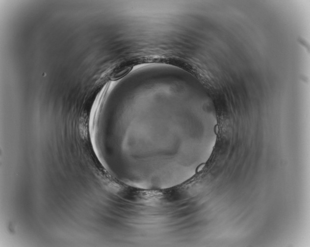 X0000096160719200802081434