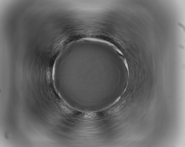 X0000096160720200802081434