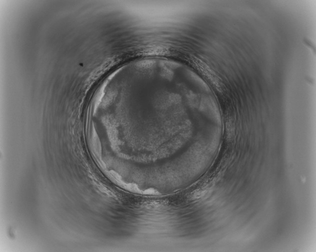 X0000096160721200802081433