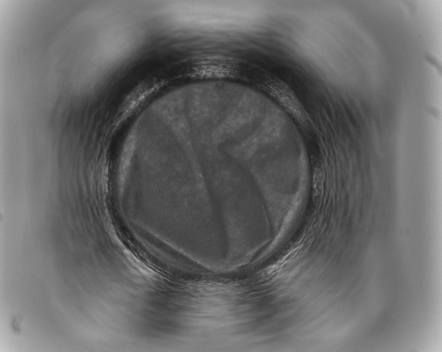 X0000096160722200802081433