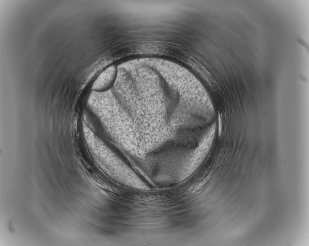 X0000096160723200802081433