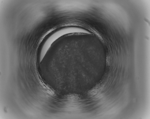 X0000096160724200802081433