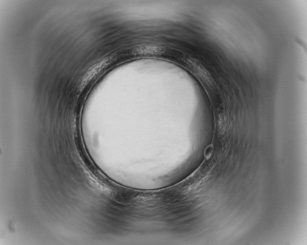 X0000096160725200802081433