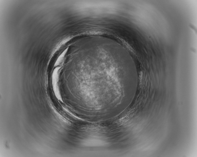 X0000096160726200802081433