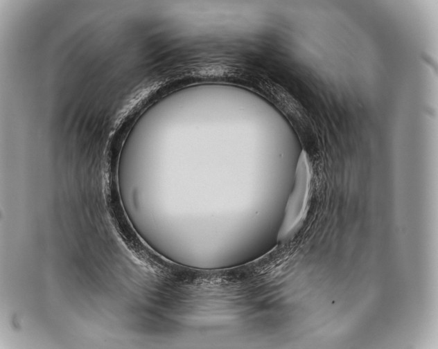 X0000096160728200802081433