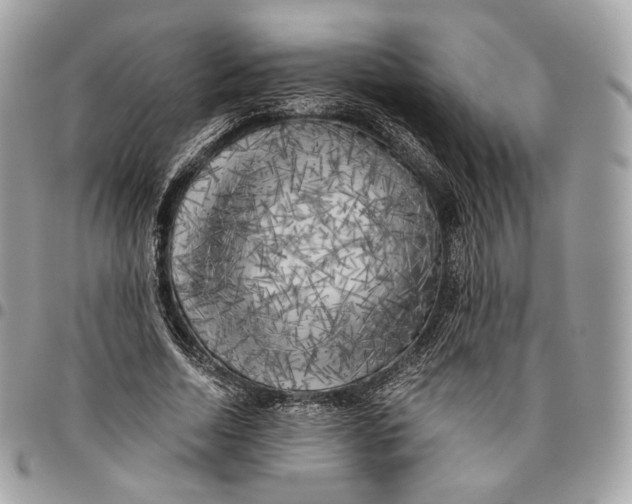 X0000096160730200802081433