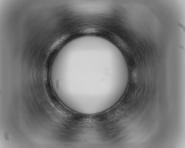 X0000096160732200802081433