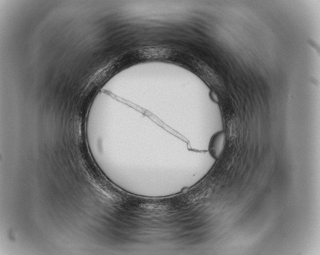 X0000096160733200802081433