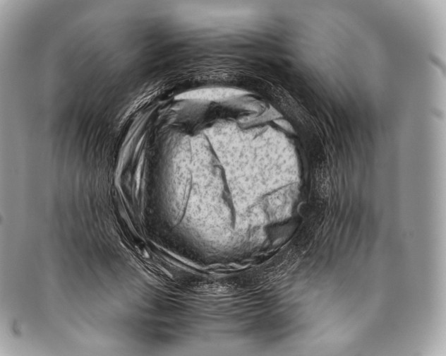 X0000096160735200802081433