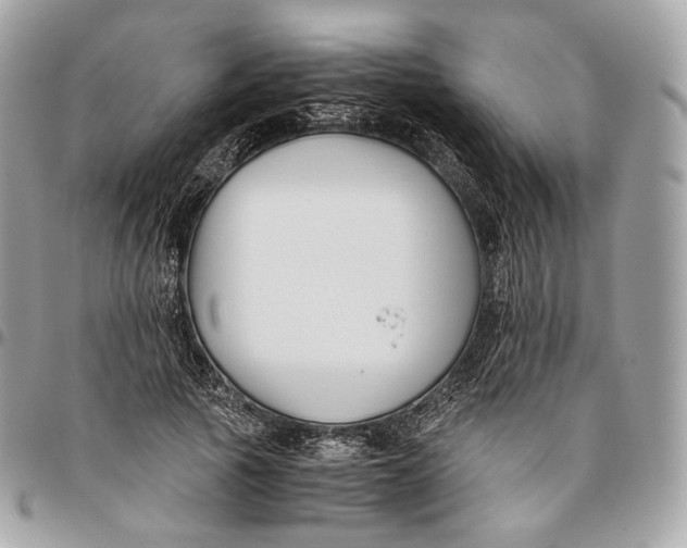 X0000096160737200802081433