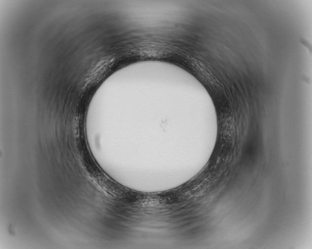 X0000096160738200802081433