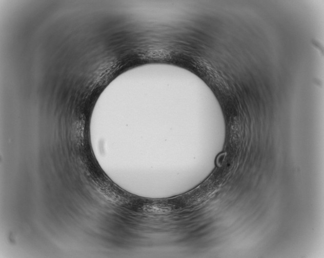 X0000096160739200802081433