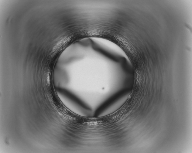 X0000096160740200802081433