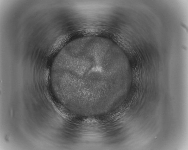 X0000096160742200802081433