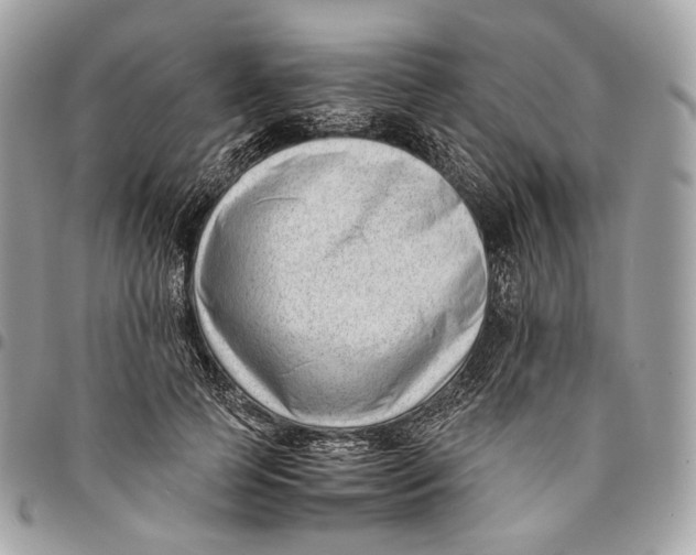 X0000096160745200802081434