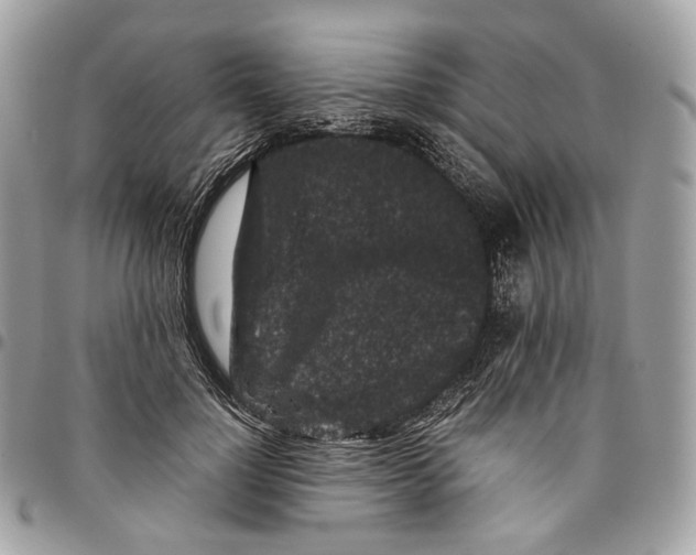 X0000096160748200802081434