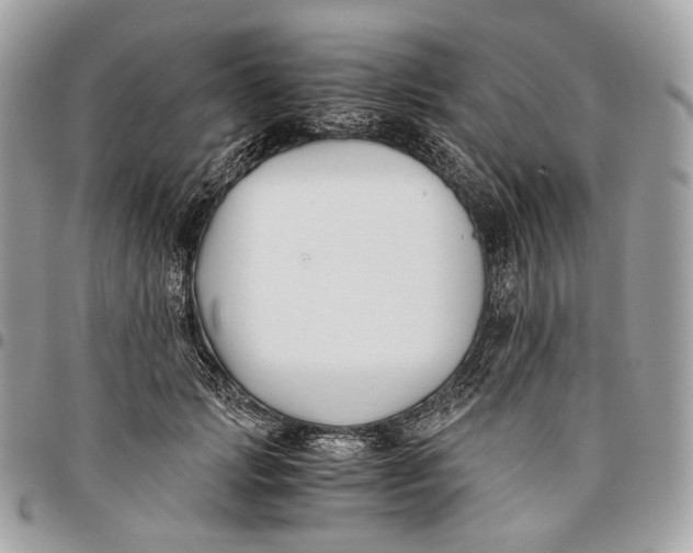 X0000096160749200802081434