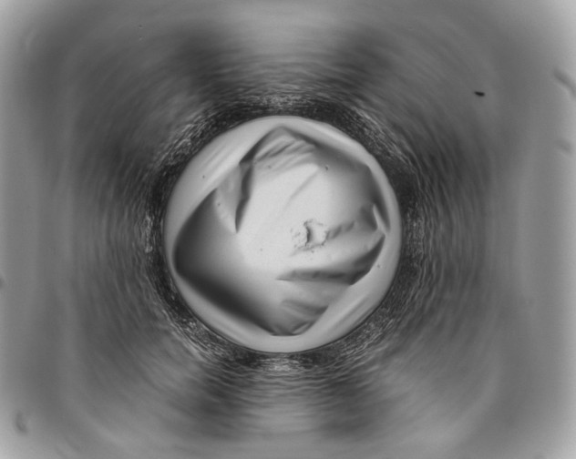 X0000096160750200802081434