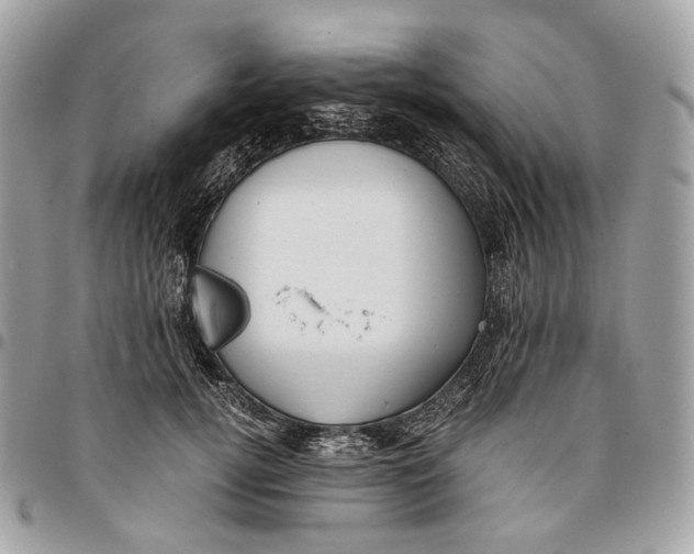 X0000096160752200802081434